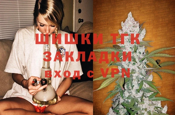 таблы Новодвинск