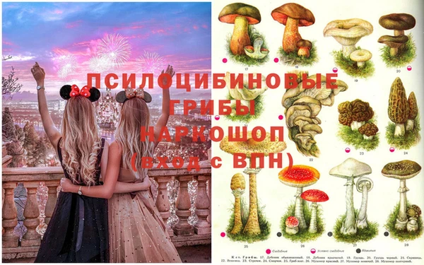 таблы Новодвинск