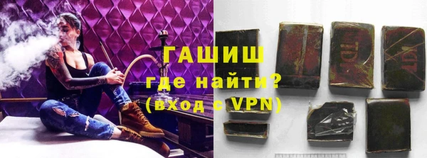 индика Нефтегорск
