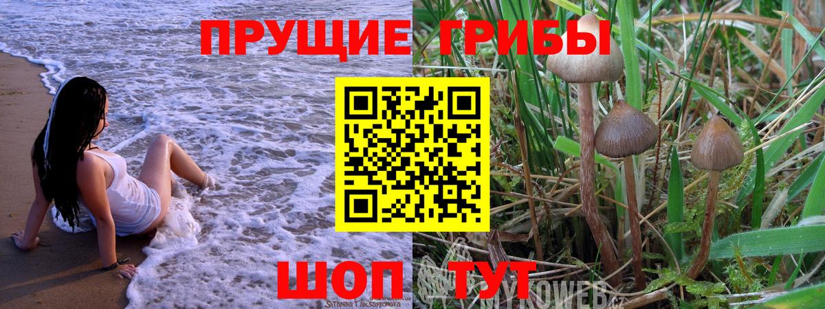 Галлюциногенные грибы Psilocybine cubensis  как найти закладки  Красноперекопск  Вход с VPN 