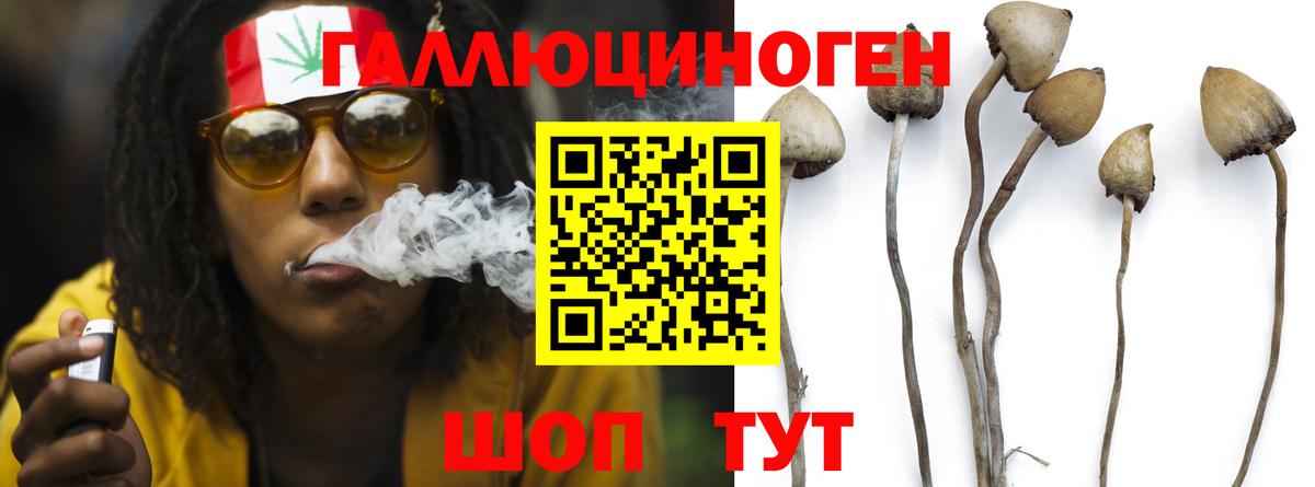 Псилоцибиновые грибы GOLDEN TEACHER Красноперекопск